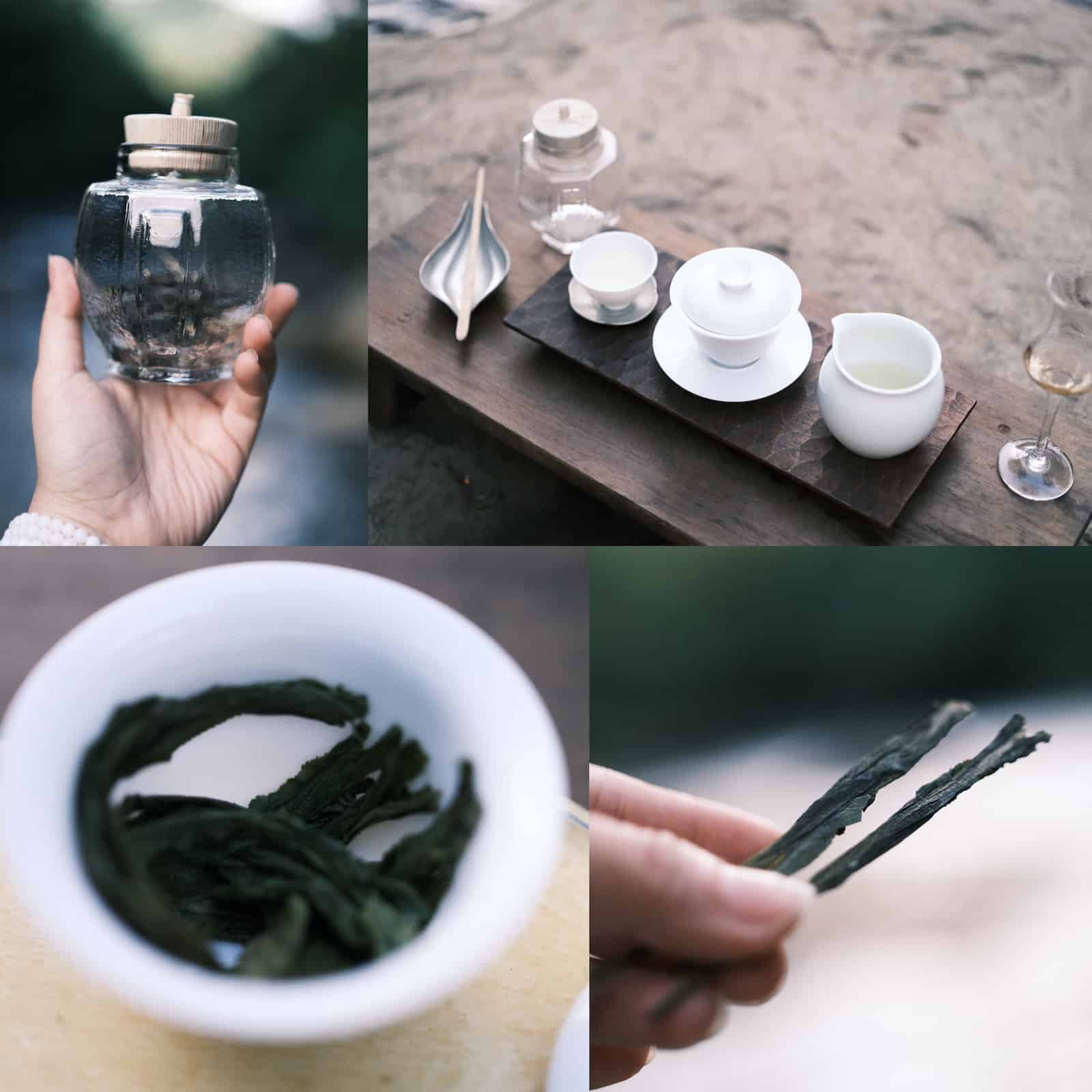 洽洽貓事務所將帶來結合茶、酒與自然的品飲體驗。