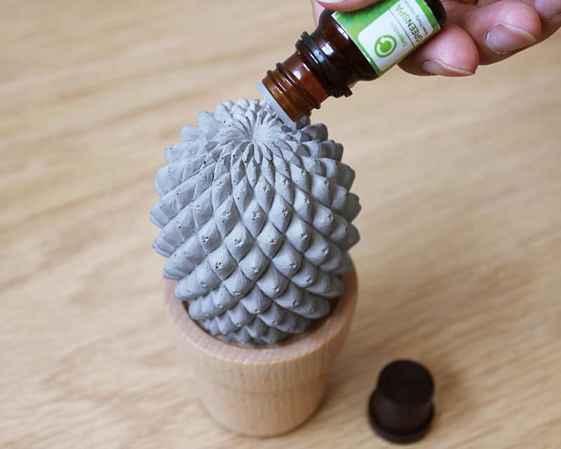 Green object 《Green object》仙人掌香氛