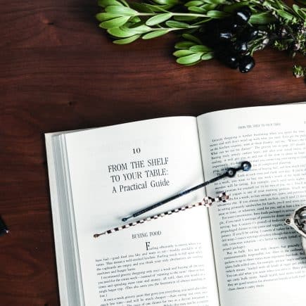 Sabae-mimikaki_image01