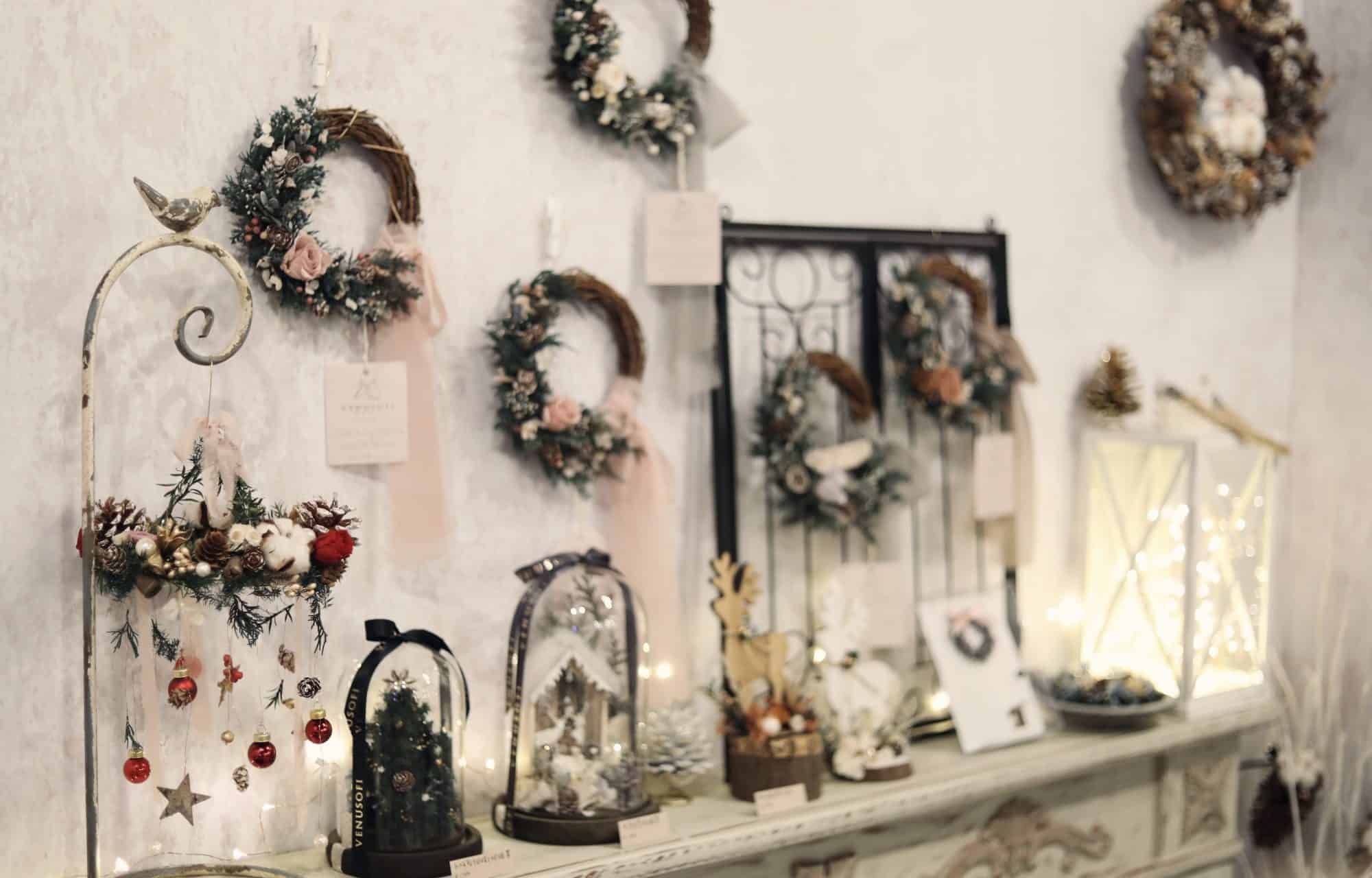 圖片提供/venusofi