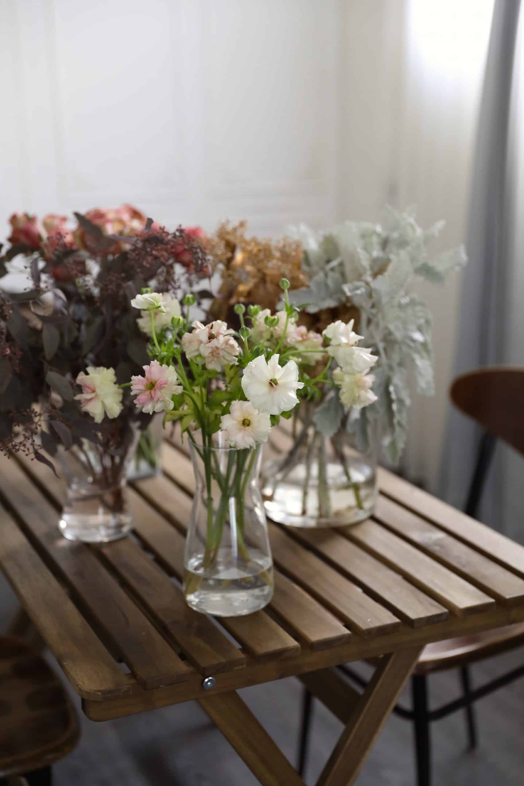 圖片提供/venusofi