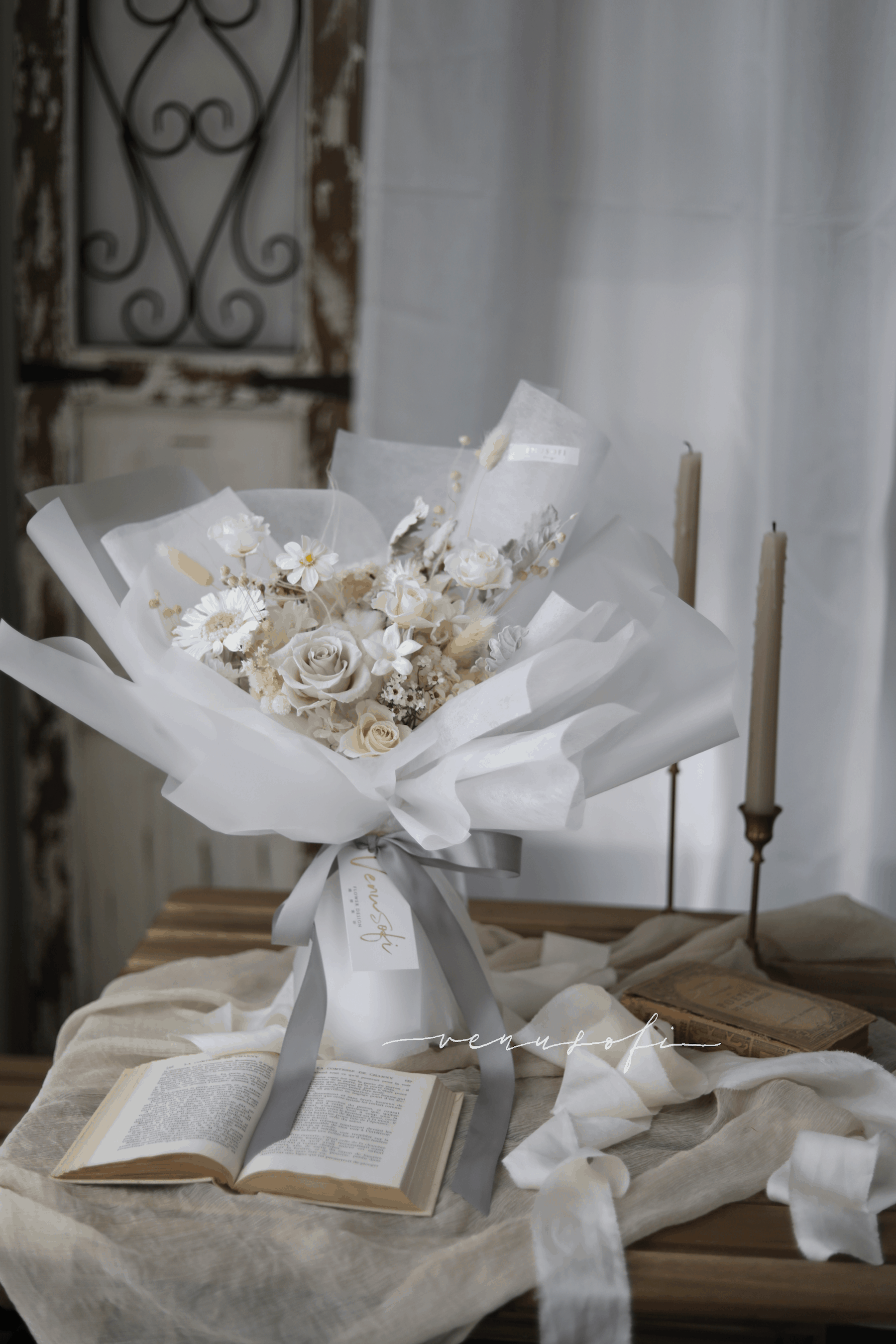 圖片提供/venusofi