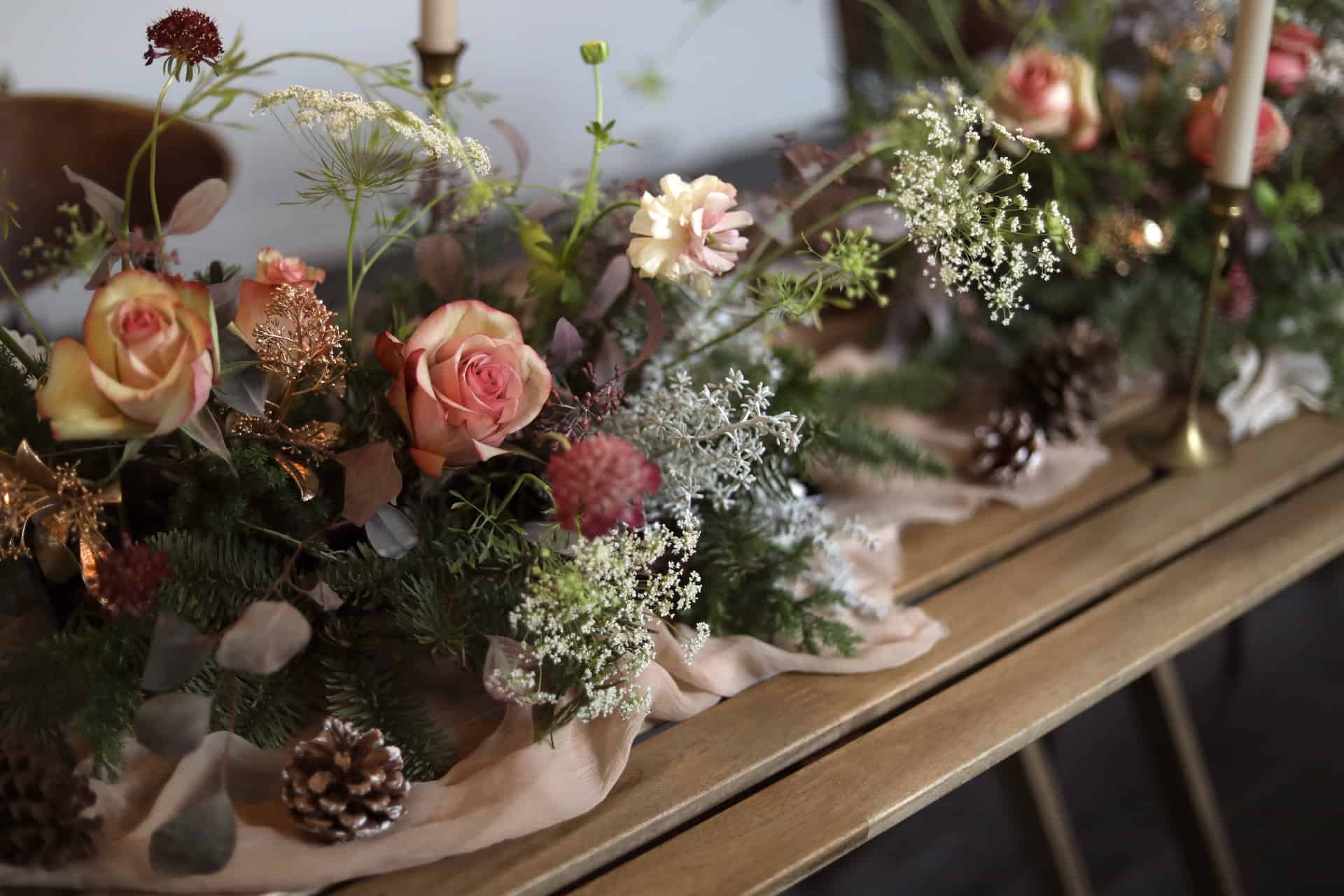 圖片提供/venusofi