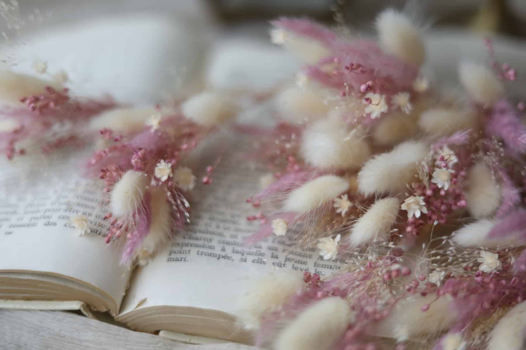 圖片提供/venusofi