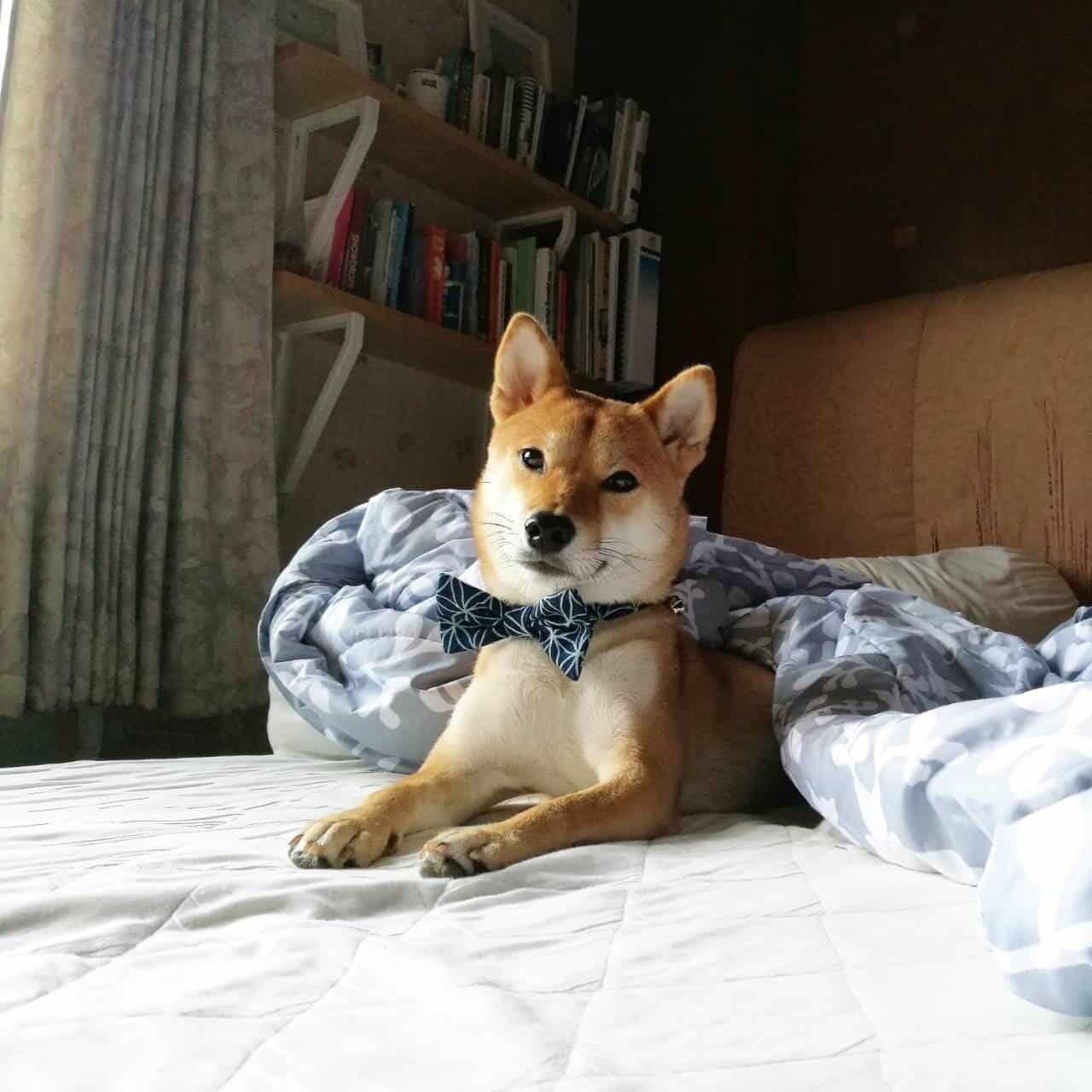 รีวิวค่า_๑๘๐๘๑๗_0004