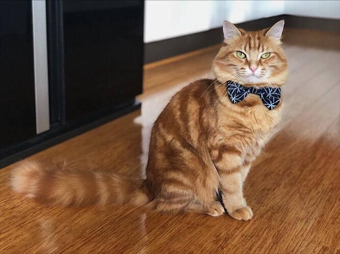 รีวิวค่า_๑๙๐๙๐๓_0319