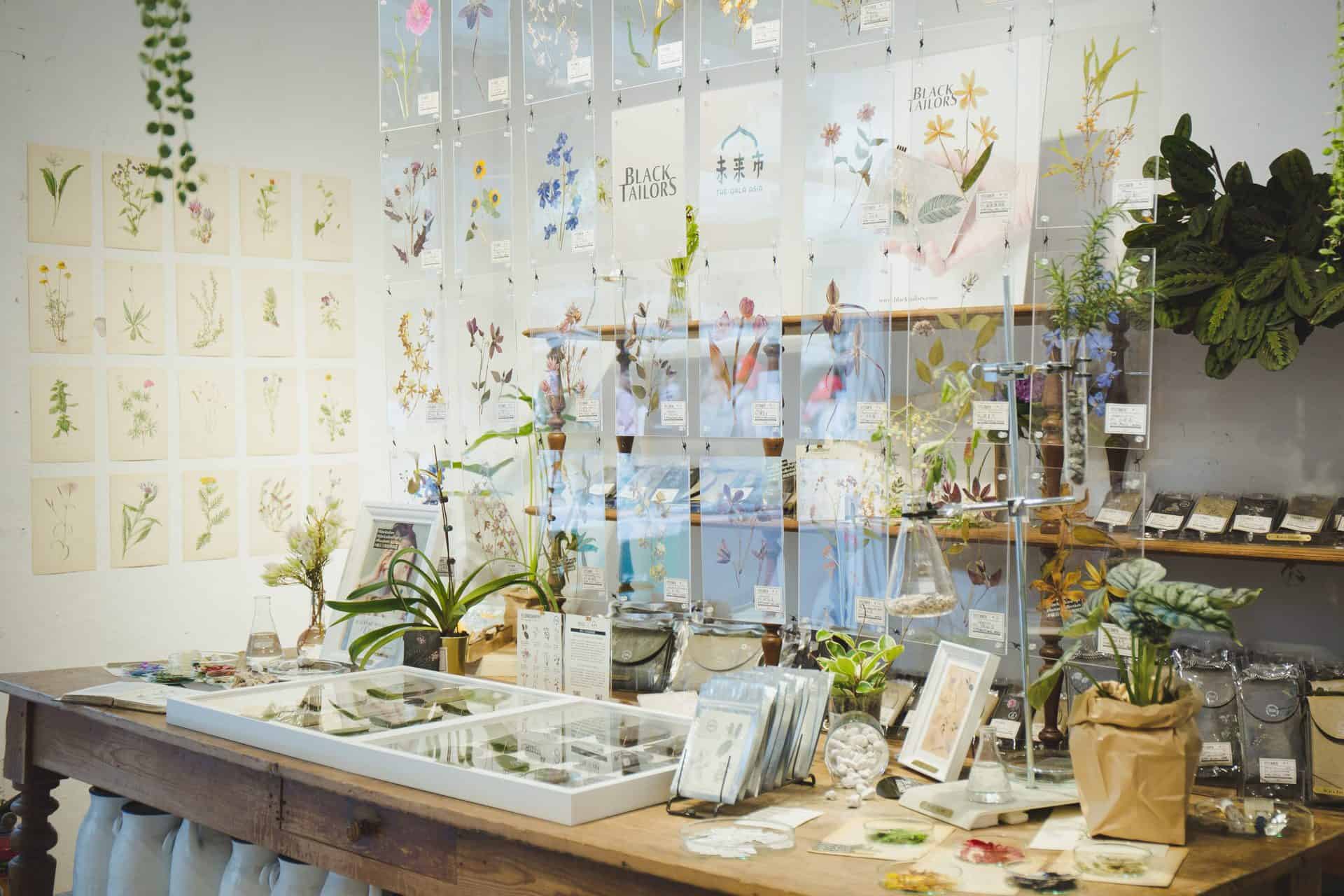 礦石上的植物圖鑑系列-花草_未來市Pop-Up-Shop_圖片提供/BLACK TAILORS 小黑尾巴