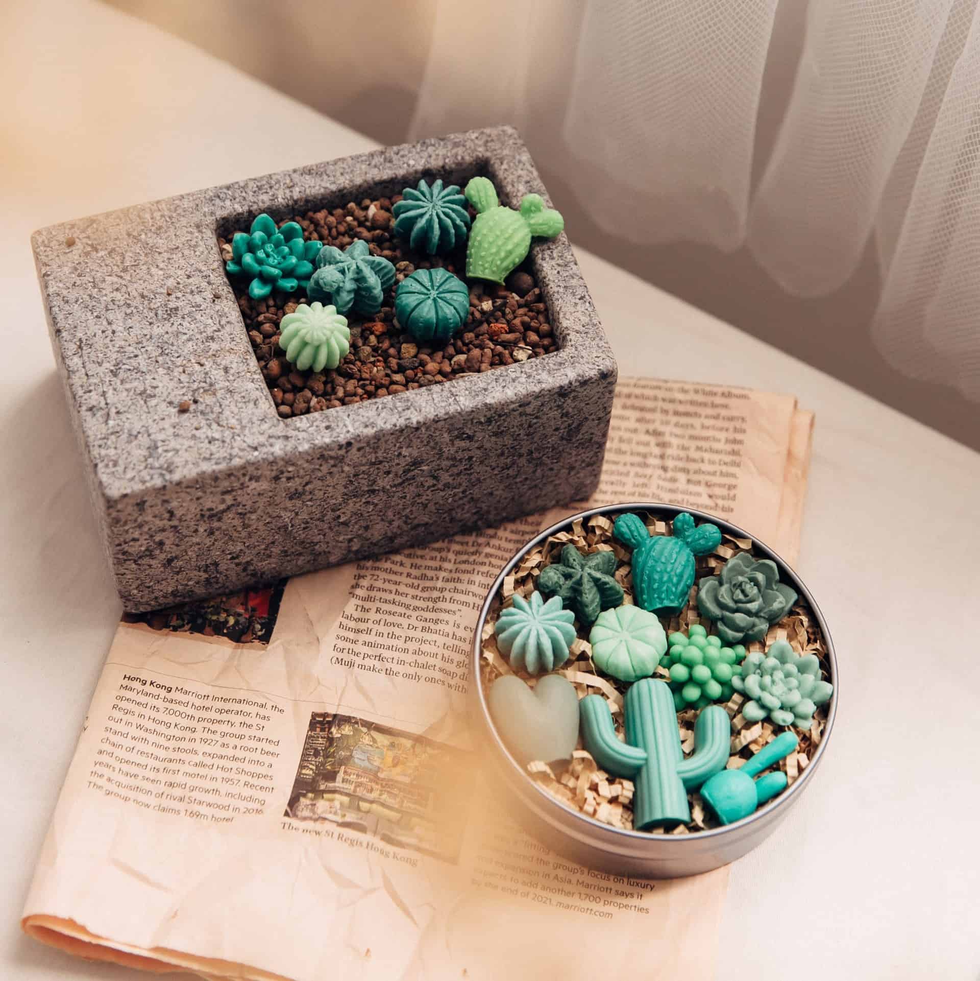 多肉植物 造型手工皂_圖片提供/禾日香氛生活